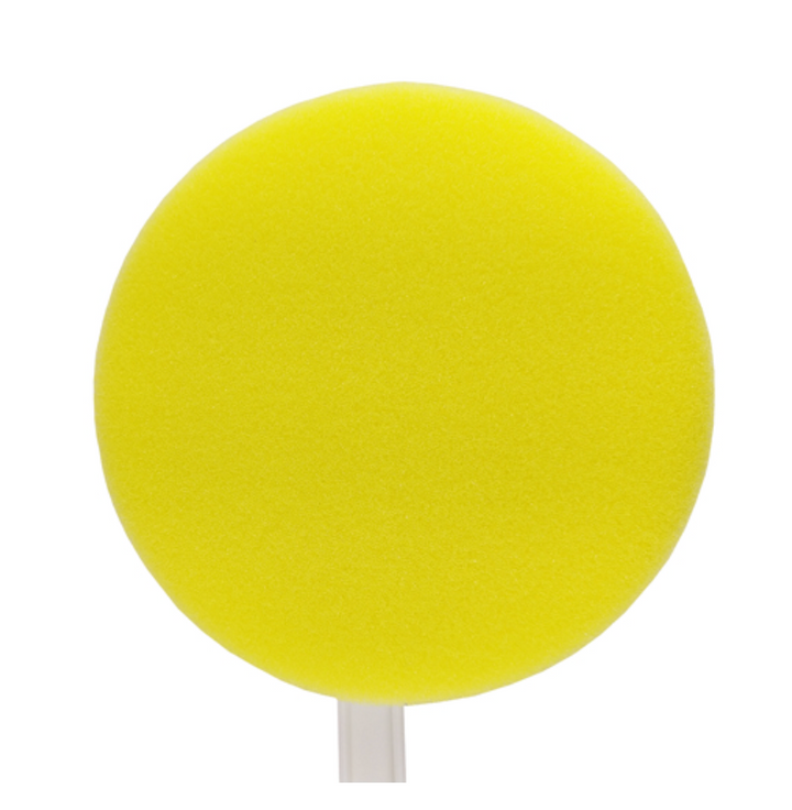 I Got Your Back - Long Handle Round Sponge