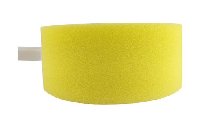 I Got Your Back - Long Handle Round Sponge